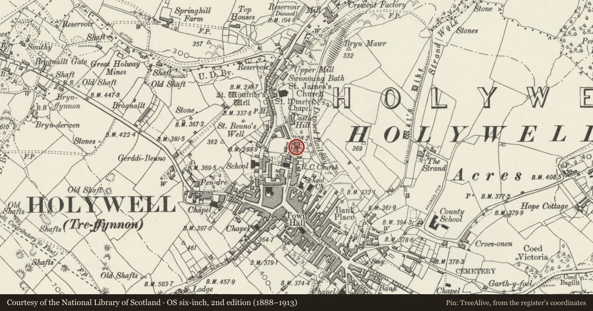 Ordnance Survey six-inch map, 2nd edition (1888–1913) covering the location of 44 Well Street, Holywell, Flintshire, with a pin at the register's coordinates