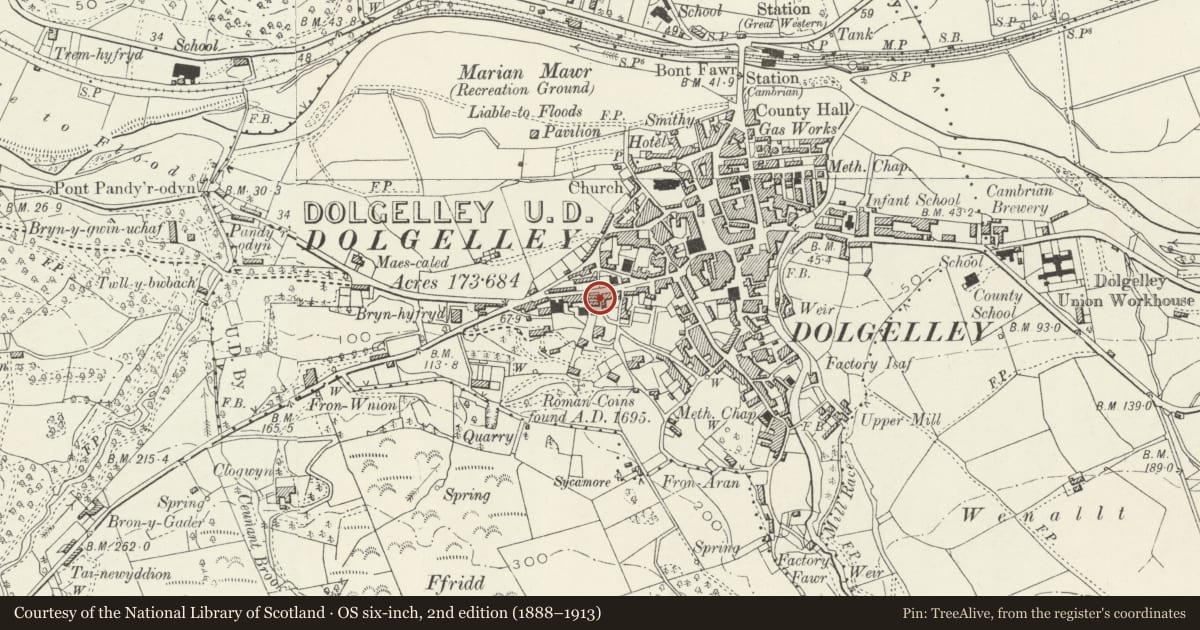 Ordnance Survey six-inch map, 2nd edition (1888–1913) covering the location of House Adjoining Erw-Wen to left, Dolgellau, Gwynedd, with a pin at the register's coordinates