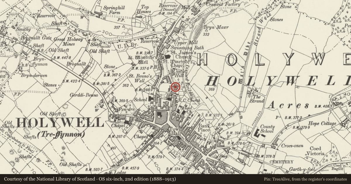 Ordnance Survey six-inch map, 2nd edition (1888–1913) covering the location of 46 Well Street, Holywell, Flintshire, with a pin at the register's coordinates