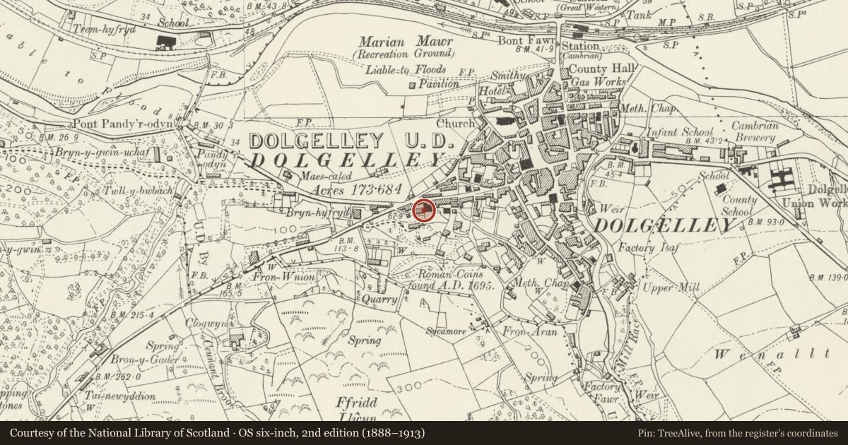 Ordnance Survey six-inch map, 2nd edition (1888–1913) covering the location of Salem House, Dolgellau, Gwynedd, with a pin at the register's coordinates