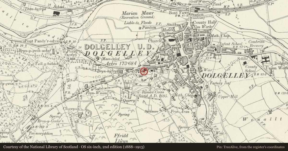 Ordnance Survey six-inch map, 2nd edition (1888–1913) covering the location of Former Schoolroom of Capel Salem, Dolgellau, Gwynedd, with a pin at the register's coordinates