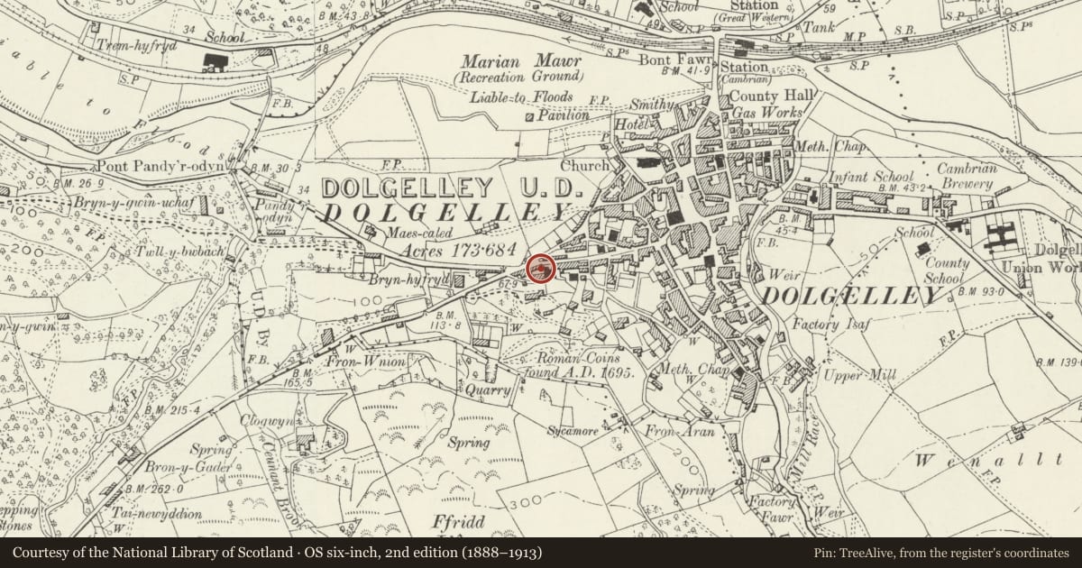 Ordnance Survey six-inch map, 2nd edition (1888–1913) covering the location of Gwelfryn, Dolgellau, Gwynedd, with a pin at the register's coordinates