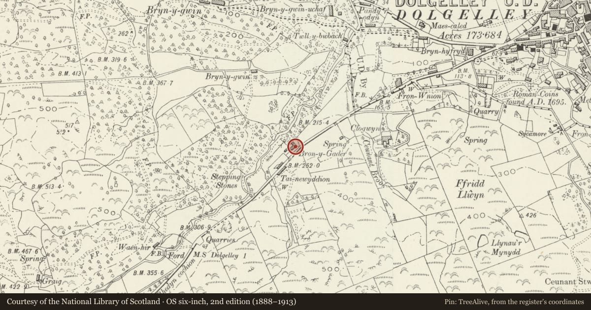 Ordnance Survey six-inch map, 2nd edition (1888–1913) covering the location of Bron-y-Cader, Dolgellau, Gwynedd, with a pin at the register's coordinates