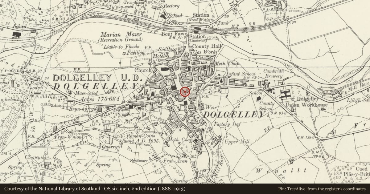 Ordnance Survey six-inch map, 2nd edition (1888–1913) covering the location of Plas Newydd (Premises of Y Ewpwrdd Cornel), Dolgellau, Gwynedd, with a pin at the register's coordinates