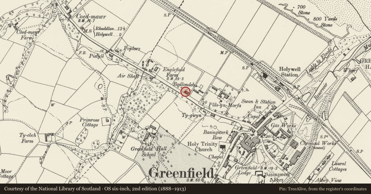 Ordnance Survey six-inch map, 2nd edition (1888–1913) covering the location of Minffordd Cottage, Holywell, Flintshire, with a pin at the register's coordinates