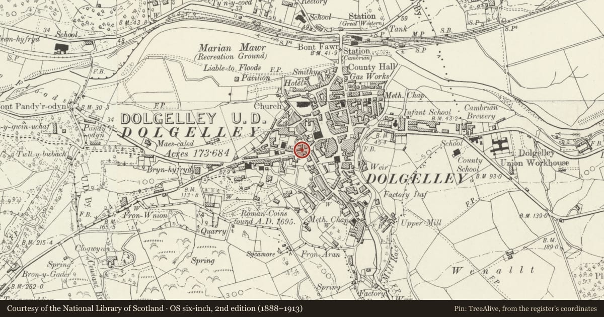 Ordnance Survey six-inch map, 2nd edition (1888–1913) covering the location of Heulwen, Dolgellau, Gwynedd, with a pin at the register's coordinates