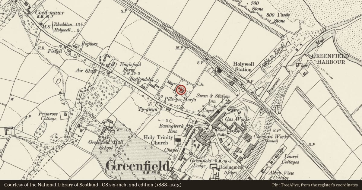 Ordnance Survey six-inch map, 2nd edition (1888–1913) covering the location of Plas-yn-Morfa, Holywell, Flintshire, with a pin at the register's coordinates