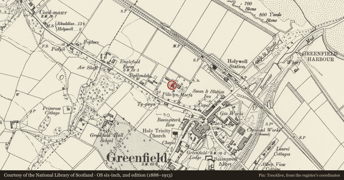 Ordnance Survey six-inch map, 2nd edition (1888–1913) covering the location of Fomer Coach House & Stables at Plas-Yn-morfa, Holywell, Flintshire, with a pin at the register's coordinates