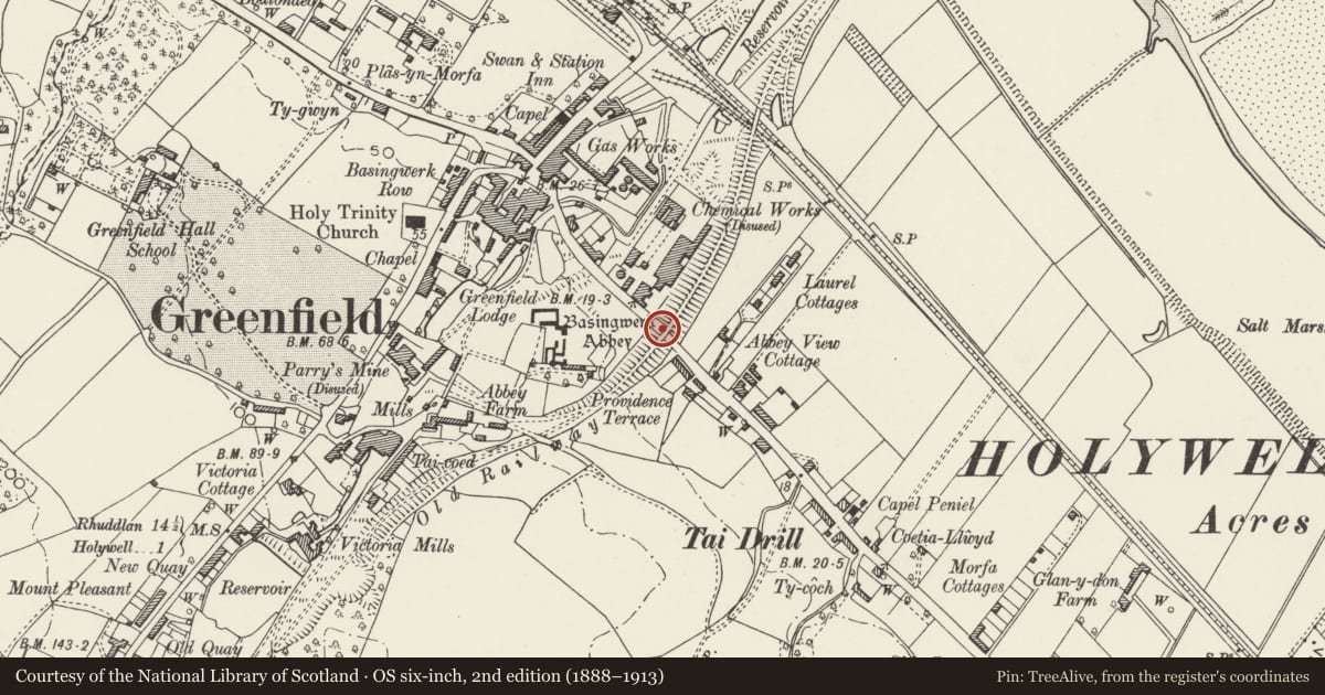 Ordnance Survey six-inch map, 2nd edition (1888–1913) covering the location of Railway Bridge Spanning the main coast road on a skewed line, Holywell, Flintshire, with a pin at the register's coordinates