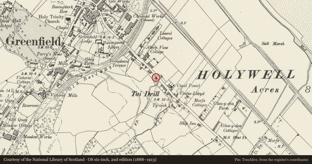 Ordnance Survey six-inch map, 2nd edition (1888–1913) covering the location of Glanllyn, Holywell, Flintshire, with a pin at the register's coordinates