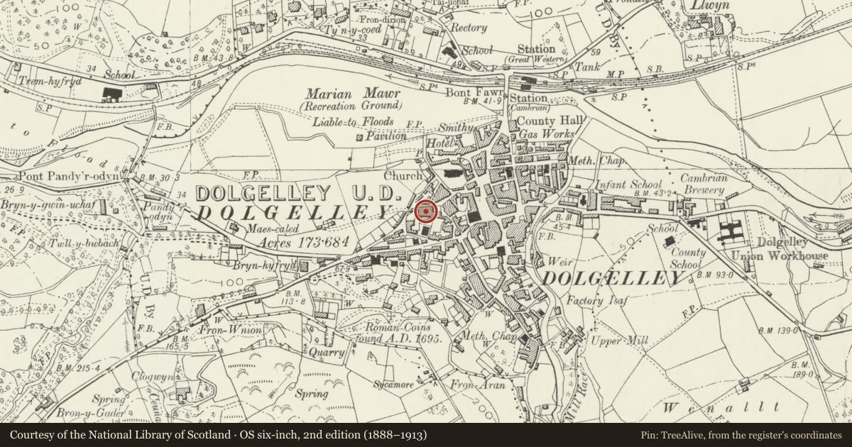 Ordnance Survey six-inch map, 2nd edition (1888–1913) covering the location of Llys y Delyn, Dolgellau, Gwynedd, with a pin at the register's coordinates