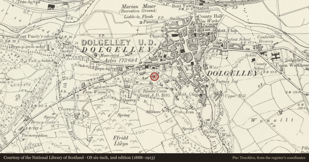 Ordnance Survey six-inch map, 2nd edition (1888–1913) covering the location of Bryn Mair, Dolgellau, Gwynedd, with a pin at the register's coordinates