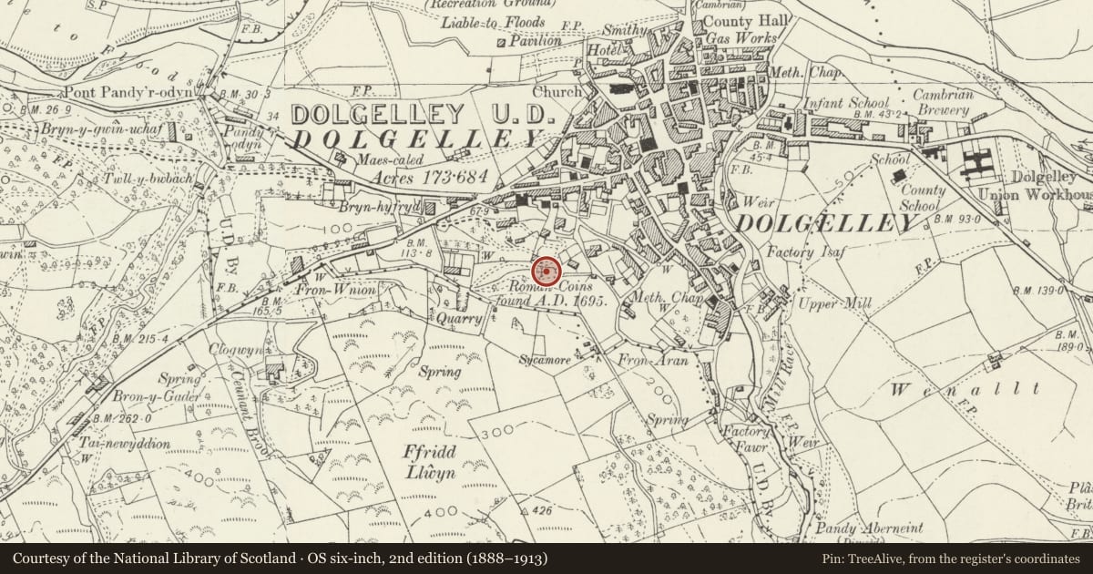 Ordnance Survey six-inch map, 2nd edition (1888–1913) covering the location of Ffynnon Fair, Dolgellau, Gwynedd, with a pin at the register's coordinates