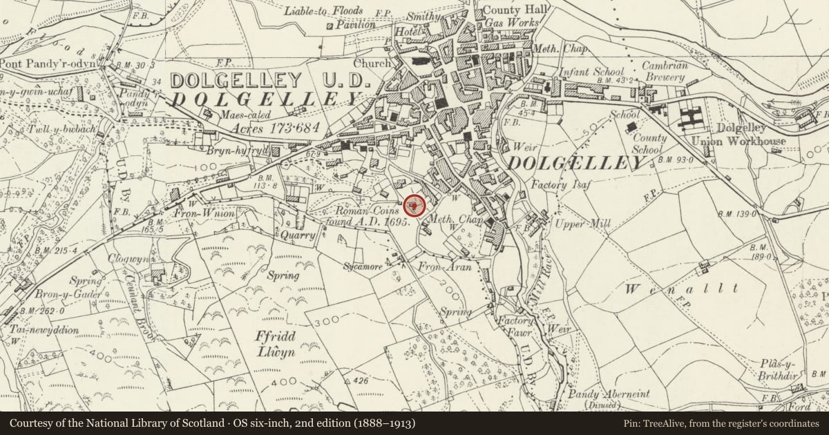 Ordnance Survey six-inch map, 2nd edition (1888–1913) covering the location of Pen Brynbella, Dolgellau, Gwynedd, with a pin at the register's coordinates