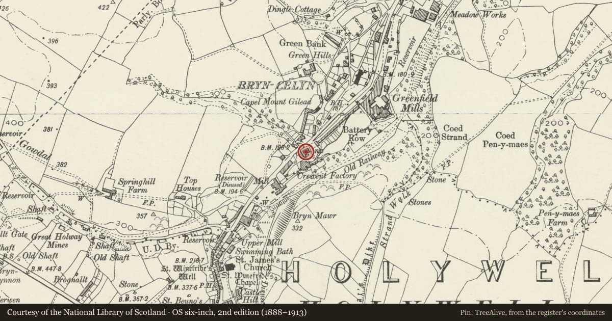 Ordnance Survey six-inch map, 2nd edition (1888–1913) covering the location of Royal Oak PH, Holywell, Flintshire, with a pin at the register's coordinates