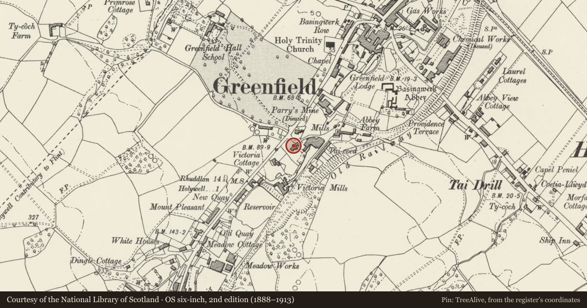 Ordnance Survey six-inch map, 2nd edition (1888–1913) covering the location of Greenfield House, Holywell, Flintshire, with a pin at the register's coordinates
