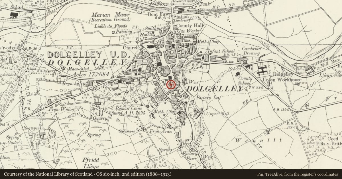 Ordnance Survey six-inch map, 2nd edition (1888–1913) covering the location of Ty Meurig, Dolgellau, Gwynedd, with a pin at the register's coordinates