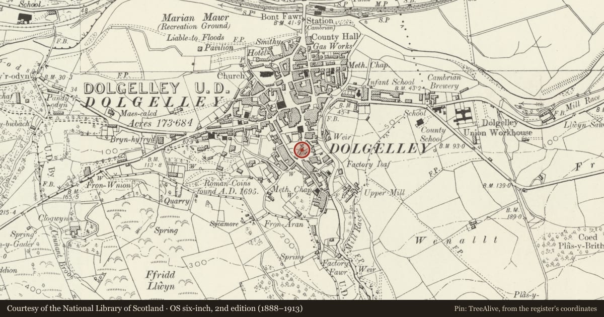 Ordnance Survey six-inch map, 2nd edition (1888–1913) covering the location of Llys Meurig, Dolgellau, Gwynedd, with a pin at the register's coordinates