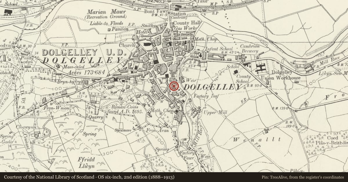 Ordnance Survey six-inch map, 2nd edition (1888–1913) covering the location of Marylands, Dolgellau, Gwynedd, with a pin at the register's coordinates