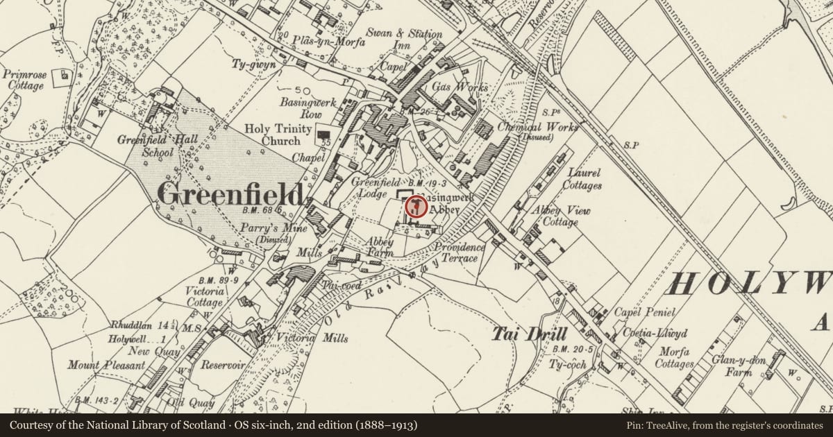 Ordnance Survey six-inch map, 2nd edition (1888–1913) covering the location of Basingwerk Abbey, Holywell, Flintshire, with a pin at the register's coordinates