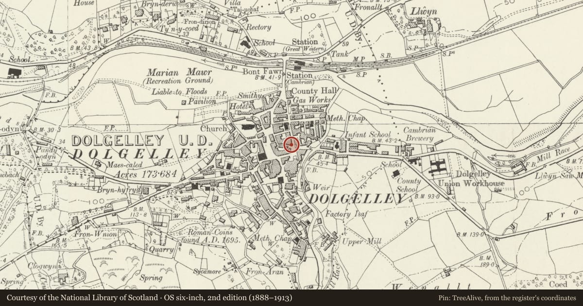 Ordnance Survey six-inch map, 2nd edition (1888–1913) covering the location of Cellar Bar of the Torrent Walk Hotel, excluding main hotel building on Smithfield Street, Dolgellau, Gwynedd, with a pin at the register's coordinates