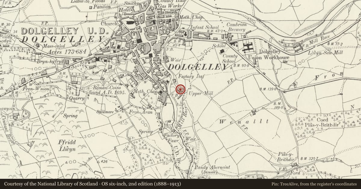 Ordnance Survey six-inch map, 2nd edition (1888–1913) covering the location of Aran Dale, Dolgellau, Gwynedd, with a pin at the register's coordinates