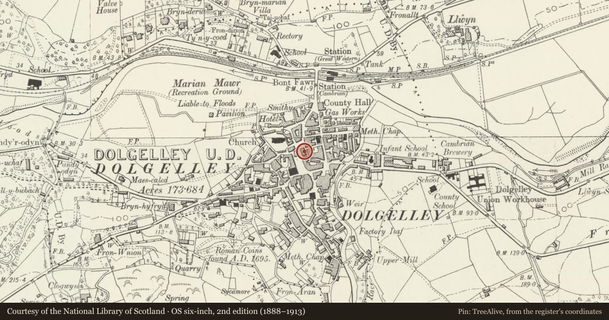 Ordnance Survey six-inch map, 2nd edition (1888–1913) covering the location of Bodfan, to rear of R & G Wynne Williams, Dolgellau, Gwynedd, with a pin at the register's coordinates