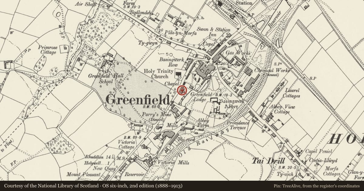 Ordnance Survey six-inch map, 2nd edition (1888–1913) covering the location of The Valley Lodge, Holywell, Flintshire, with a pin at the register's coordinates