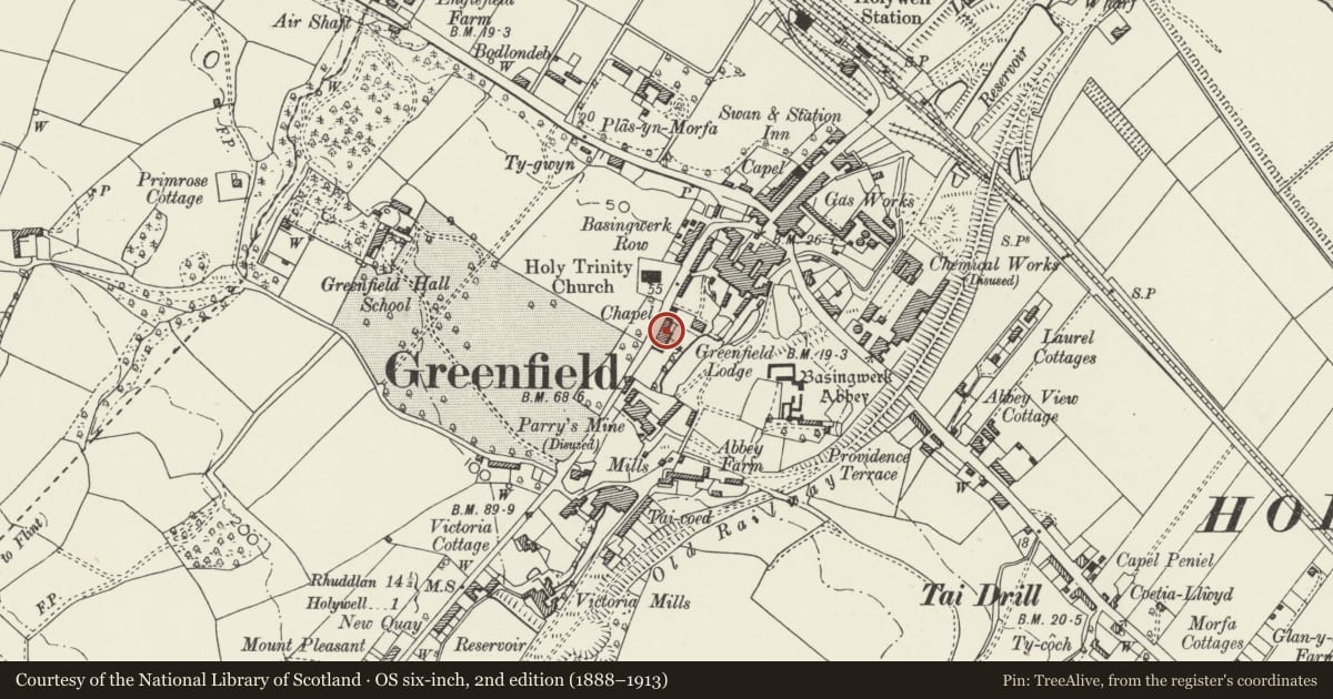 Ordnance Survey six-inch map, 2nd edition (1888–1913) covering the location of Betnea, Holywell, Flintshire, with a pin at the register's coordinates