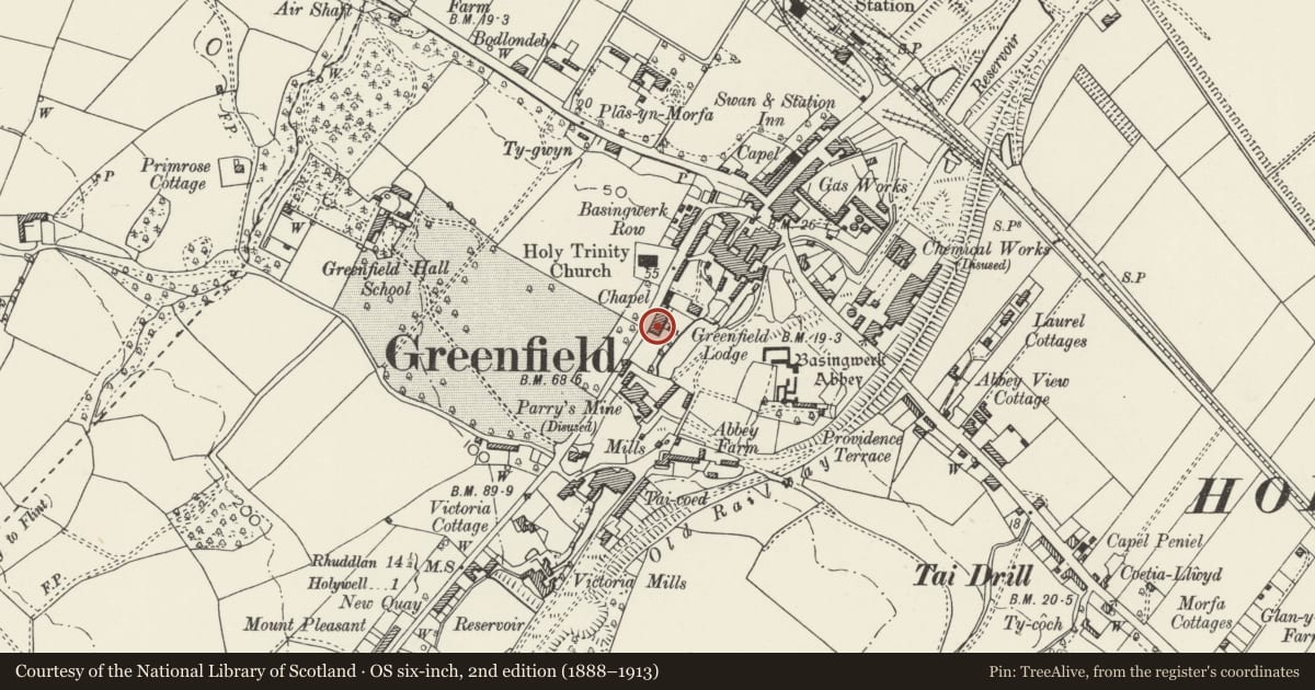 Ordnance Survey six-inch map, 2nd edition (1888–1913) covering the location of The Surgery, Holywell, Flintshire, with a pin at the register's coordinates