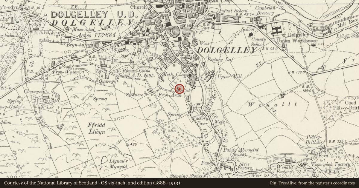 Ordnance Survey six-inch map, 2nd edition (1888–1913) covering the location of Fron Arran, Dolgellau, Gwynedd, with a pin at the register's coordinates