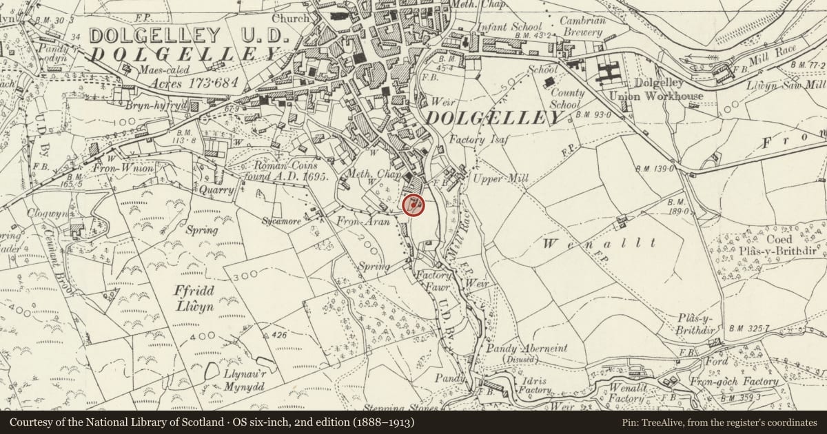 Ordnance Survey six-inch map, 2nd edition (1888–1913) covering the location of 2 South Street (Maes y Pandy), Dolgellau, Gwynedd, with a pin at the register's coordinates
