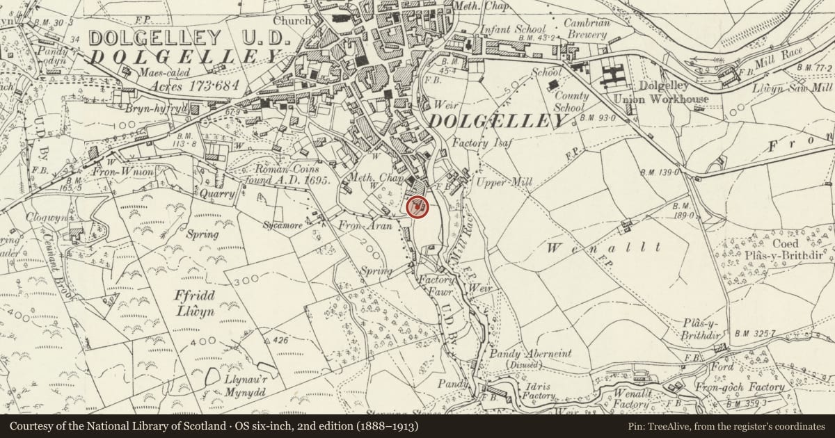 Ordnance Survey six-inch map, 2nd edition (1888–1913) covering the location of 3 South Street (Maes y Pandy), Dolgellau, Gwynedd, with a pin at the register's coordinates