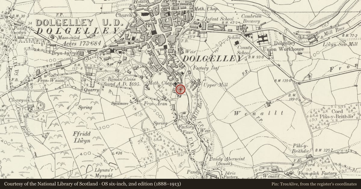Ordnance Survey six-inch map, 2nd edition (1888–1913) covering the location of Mill View, Dolgellau, Gwynedd, with a pin at the register's coordinates