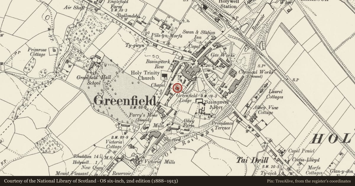 Ordnance Survey six-inch map, 2nd edition (1888–1913) covering the location of Abbey House, Holywell, Flintshire, with a pin at the register's coordinates