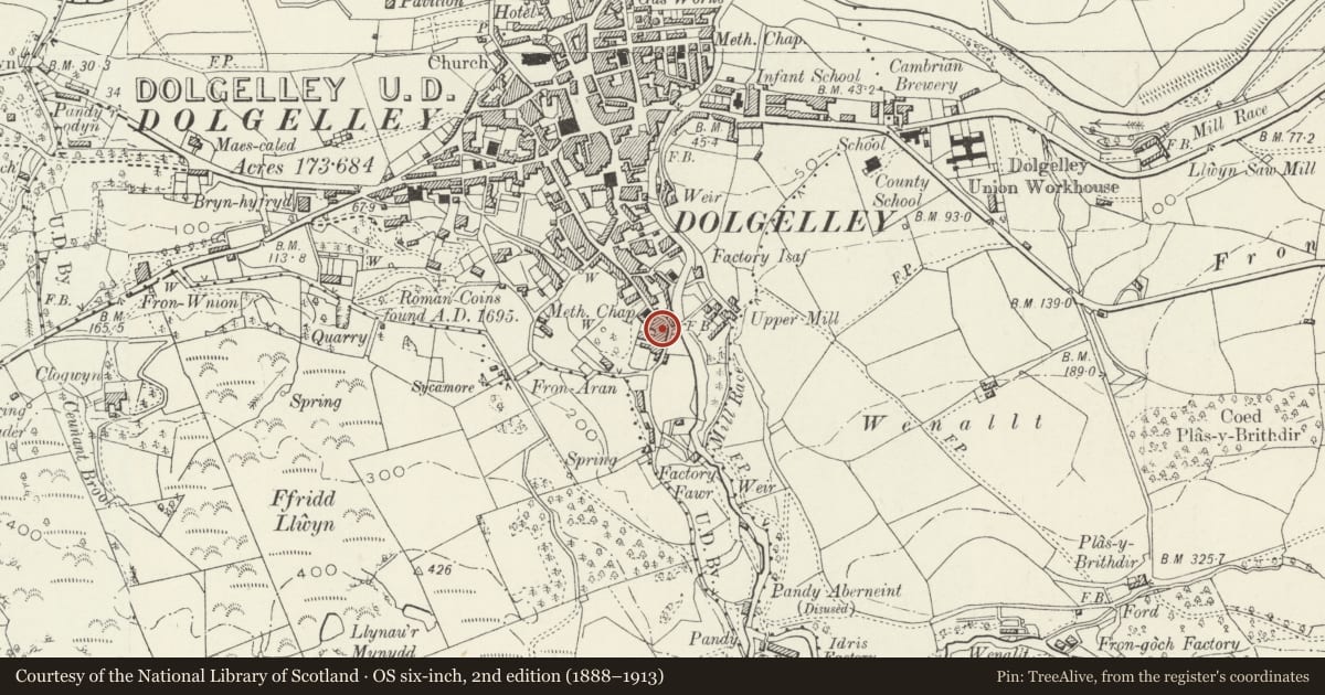 Ordnance Survey six-inch map, 2nd edition (1888–1913) covering the location of Derelict Building to rear of Mill View, Dolgellau, Gwynedd, with a pin at the register's coordinates
