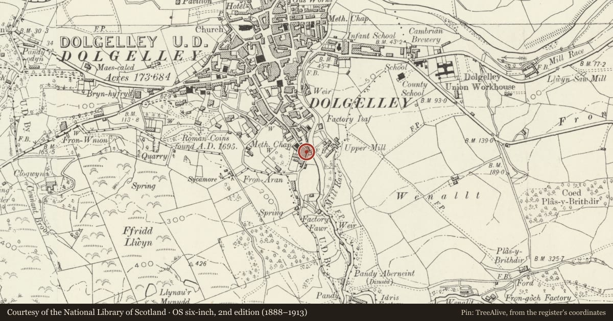 Ordnance Survey six-inch map, 2nd edition (1888–1913) covering the location of 8 South Street (Maes y Pandy), Dolgellau, Gwynedd, with a pin at the register's coordinates