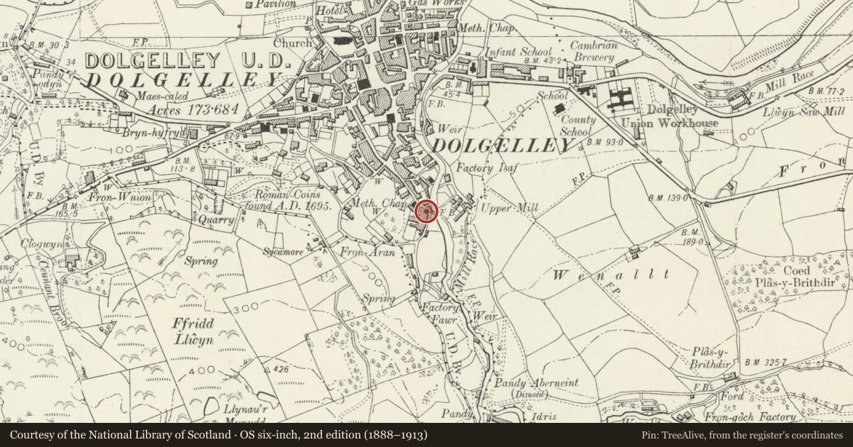 Ordnance Survey six-inch map, 2nd edition (1888–1913) covering the location of Arran View, Dolgellau, Gwynedd, with a pin at the register's coordinates