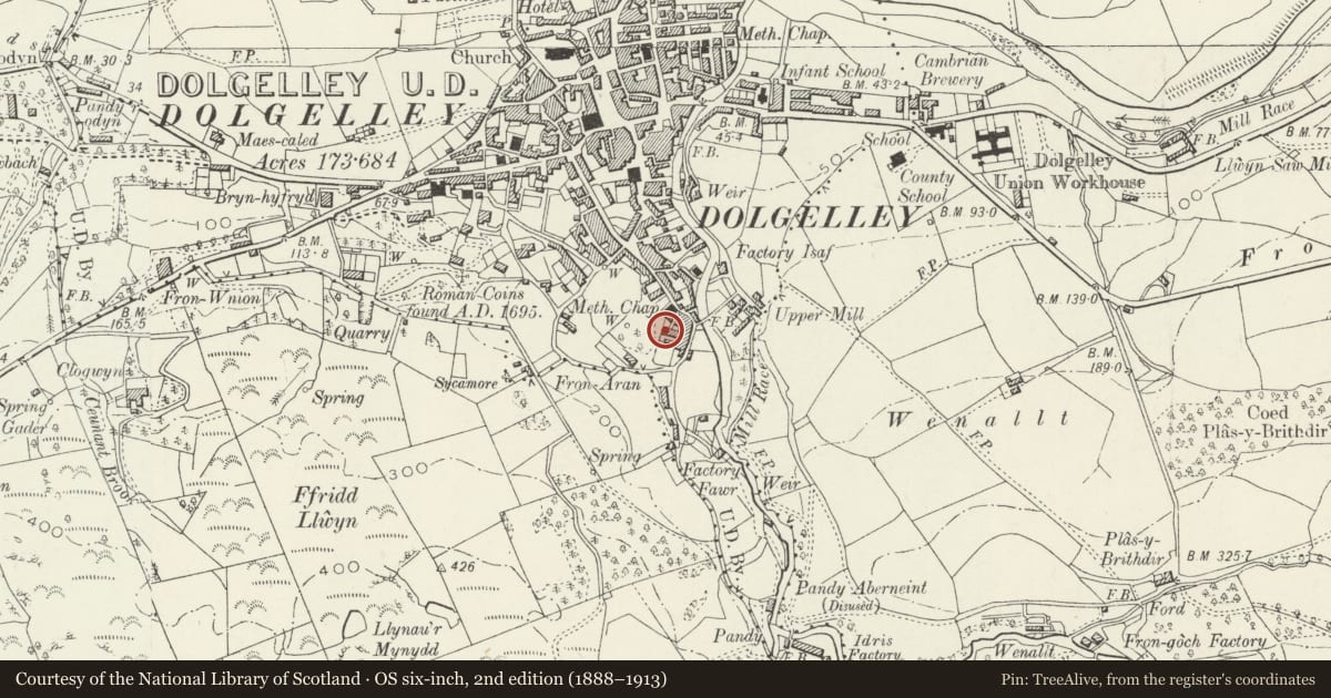 Ordnance Survey six-inch map, 2nd edition (1888–1913) covering the location of Roslyn, Dolgellau, Gwynedd, with a pin at the register's coordinates