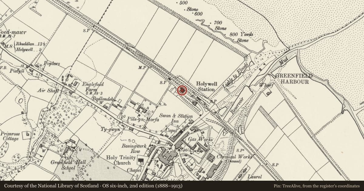 Ordnance Survey six-inch map, 2nd edition (1888–1913) covering the location of Holywell Junction Railway Station, Flintshire, with a pin at the register's coordinates