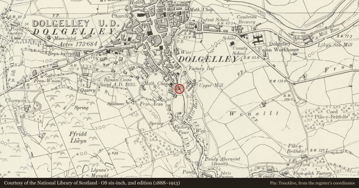 Ordnance Survey six-inch map, 2nd edition (1888–1913) covering the location of Riverside, Dolgellau, Gwynedd, with a pin at the register's coordinates