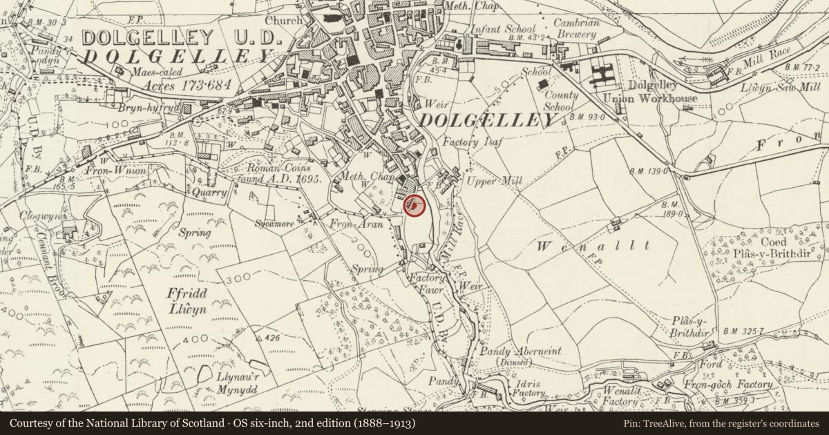 Ordnance Survey six-inch map, 2nd edition (1888–1913) covering the location of Wenallt View, Dolgellau, Gwynedd, with a pin at the register's coordinates
