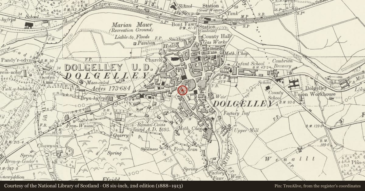 Ordnance Survey six-inch map, 2nd edition (1888–1913) covering the location of Storehouse opposite Cae Ffynon, Dolgellau, Gwynedd, with a pin at the register's coordinates