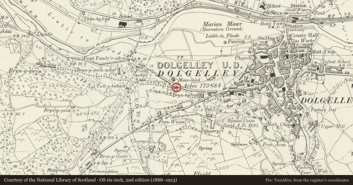 Ordnance Survey six-inch map, 2nd edition (1888–1913) covering the location of Maes Caled, Dolgellau, Gwynedd, with a pin at the register's coordinates