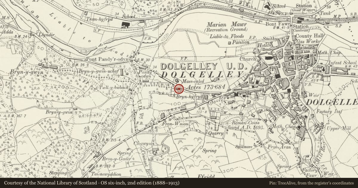 Ordnance Survey six-inch map, 2nd edition (1888–1913) covering the location of Maes Caled, Dolgellau, Gwynedd, with a pin at the register's coordinates