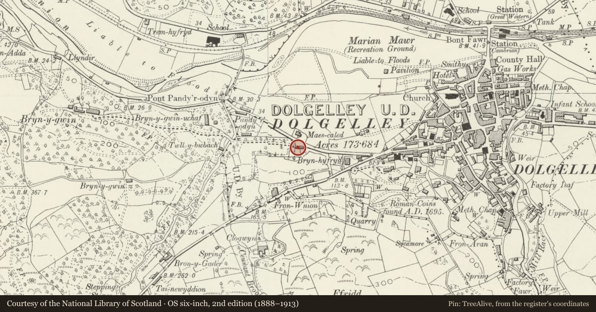 Ordnance Survey six-inch map, 2nd edition (1888–1913) covering the location of Maes Caled, Dolgellau, Gwynedd, with a pin at the register's coordinates