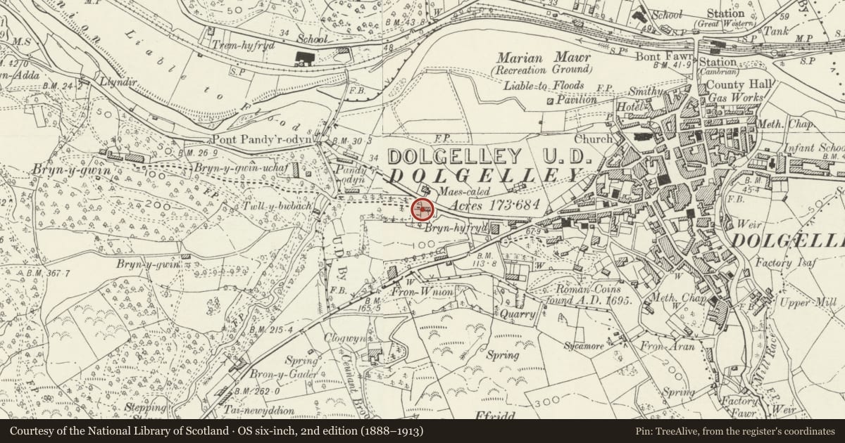 Ordnance Survey six-inch map, 2nd edition (1888–1913) covering the location of Maes Caled, Dolgellau, Gwynedd, with a pin at the register's coordinates