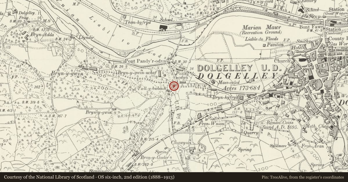 Ordnance Survey six-inch map, 2nd edition (1888–1913) covering the location of Bridge at bryn-yr-Odyn, Dolgellau, Gwynedd, with a pin at the register's coordinates