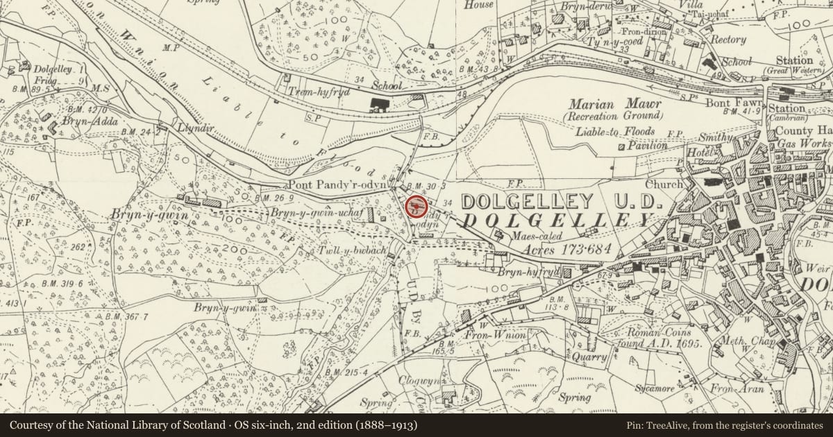 Ordnance Survey six-inch map, 2nd edition (1888–1913) covering the location of Pandy'r-Odyn Cottages, Dolgellau, Gwynedd, with a pin at the register's coordinates