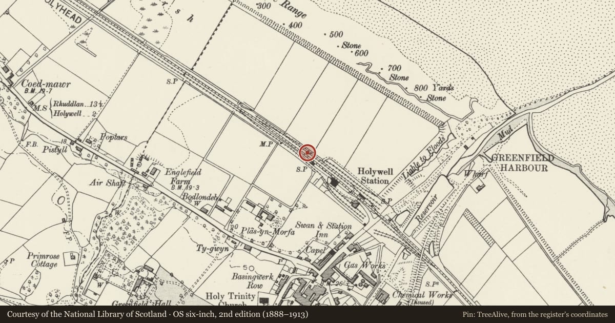 Ordnance Survey six-inch map, 2nd edition (1888–1913) covering the location of Signal Box at Holywell Junction Railway Station, Flintshire, with a pin at the register's coordinates